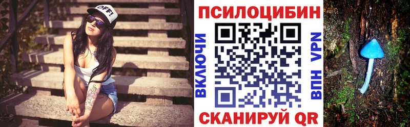 Галлюциногенные грибы Psilocybine cubensis  Купить закладки  Долинск 